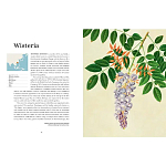 Прекрасно иллюстрированная книга более 100 ботанических произведений Plant Hunters Atlas варинант исполнения - 4 | Loft Concept в Нижнем Новгороде