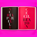 Коллекционный альбом Schiaparelli and the Artists варинант исполнения - 8 | Loft Concept в Нижнем Новгороде