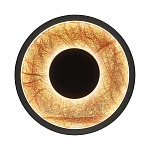 Бра круглое Gold Sun Lighting  варинант исполнения - 1 | Loft Concept в Нижнем Новгороде