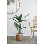 Декоративный искусственное растение Decor Stile  варинант исполнения - 5 | Loft Concept в Нижнем Новгороде