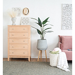 Декоративный искусственное растение Decor Stile  варинант исполнения - 4 | Loft Concept в Нижнем Новгороде